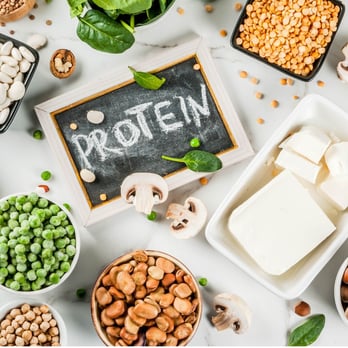 Protein sports nutrition